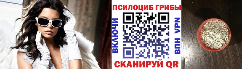 Галлюциногенные грибы GOLDEN TEACHER  Купить закладки  Новозыбков 